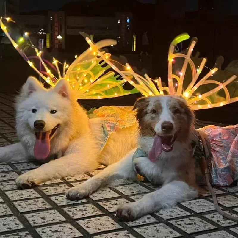 Glowing Butterfly Wings for Dogs™