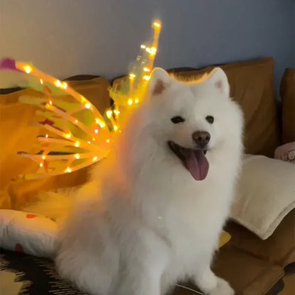Glowing Butterfly Wings for Dogs™