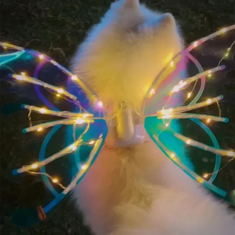 Glowing Butterfly Wings for Dogs™